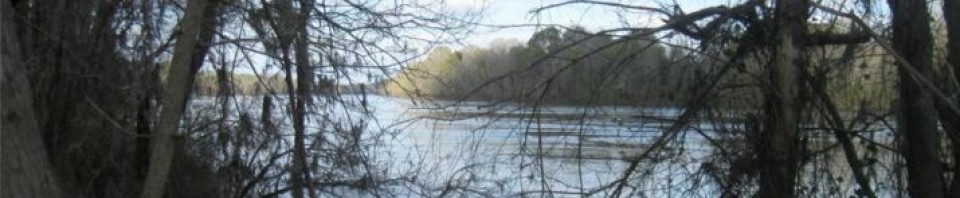 cropped-cahaba.jpg